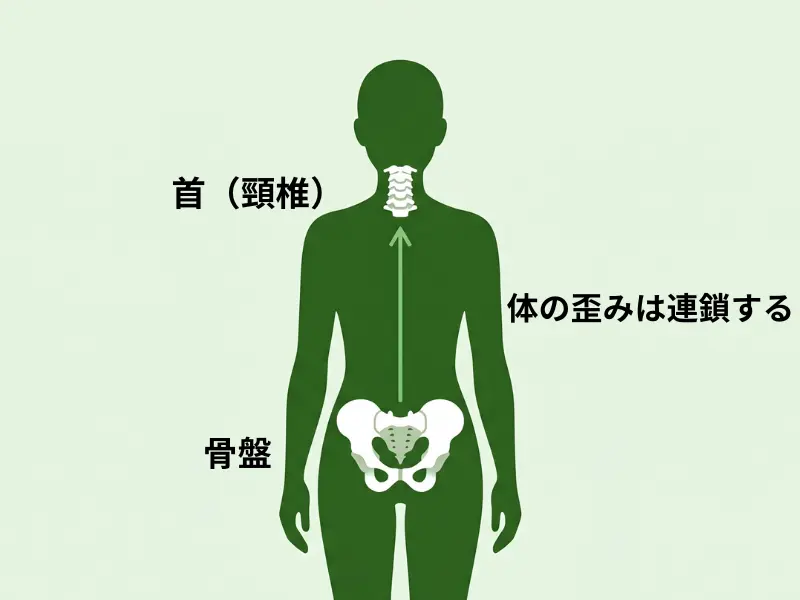 腰痛と体の歪みの連鎖を示す図解